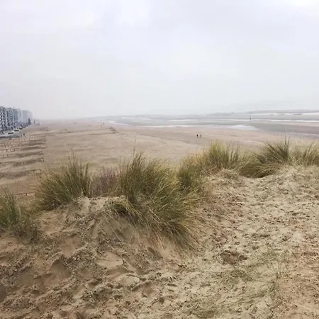 Nevada Near The Beach, Cleaning Included Apartamento