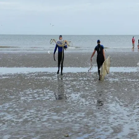 Nevada Near The Beach, Cleaning Included 아파트 코크시데